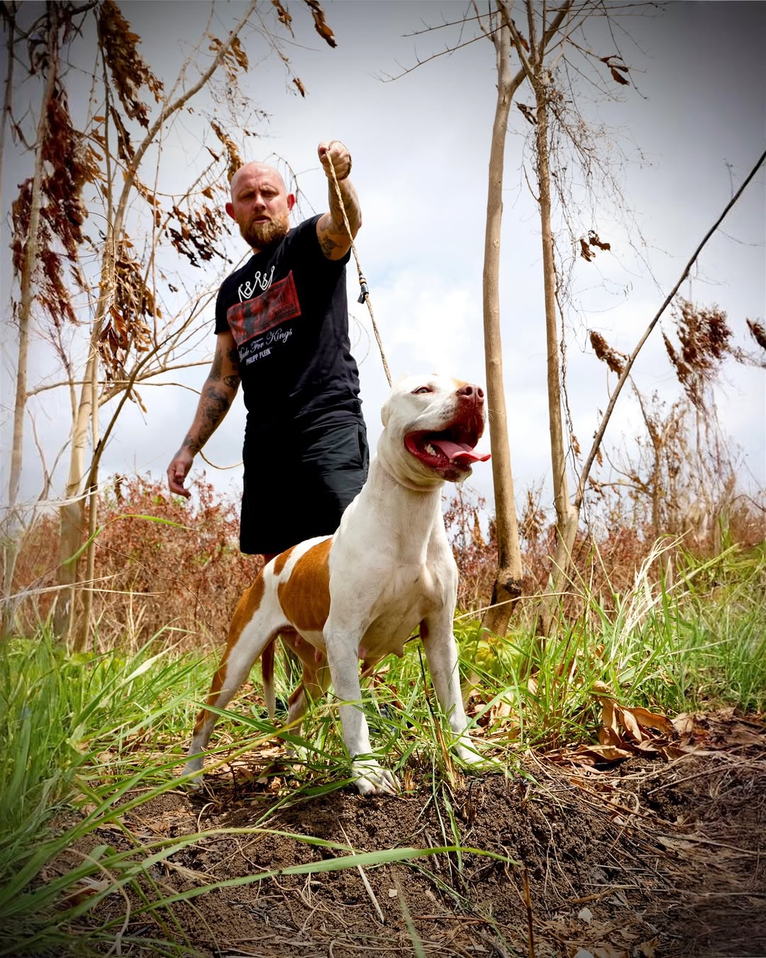 Kingdom Kennels on Instagram